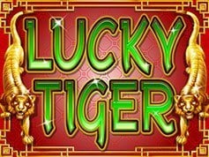 Lucky-Tiger.jpg