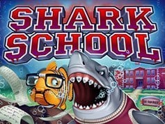 Shark-School.jpg