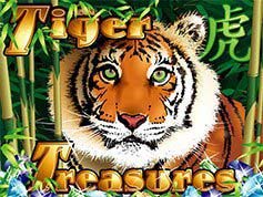 Tiger-Treasure.jpg
