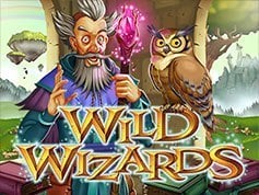 Wild-Wizards.jpg