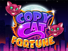copycatfortune.jpg