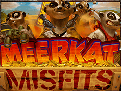 meerkatmisfits.png