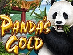 pandas-gold.jpg