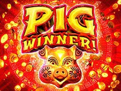 pig-winner.jpg