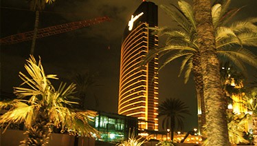 Wynn Saga Continues