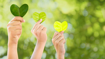 hands holding up hearts made out of leaves 