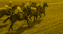 horse race