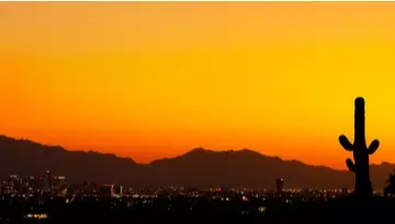 a beautiful desert sunset 