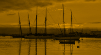 Martha’s Vineyard