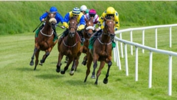 photo of a group of racing horses coming around the corner